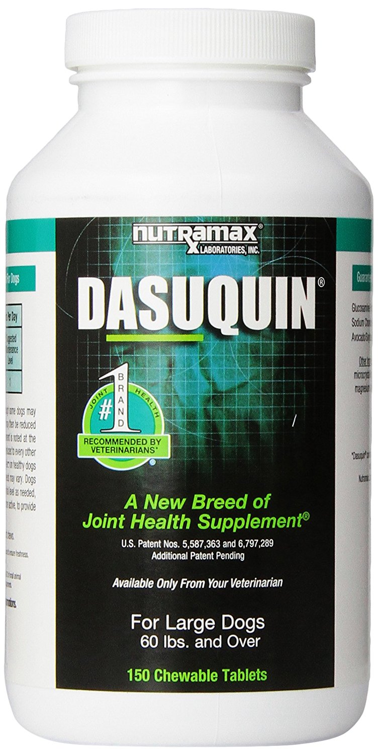 nutramax-dasuquin-for-dogs-review-my-bones-and-biscuits