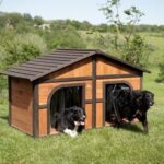 Extra-large-solid-wood-dog-house-for-two-dogs