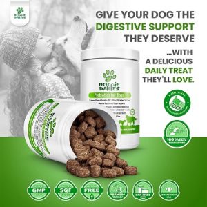 Doggie-Dailies-Probiotics-for-Dogs-digestive-support